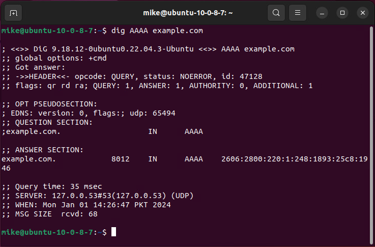 AAAA lookup using terminal